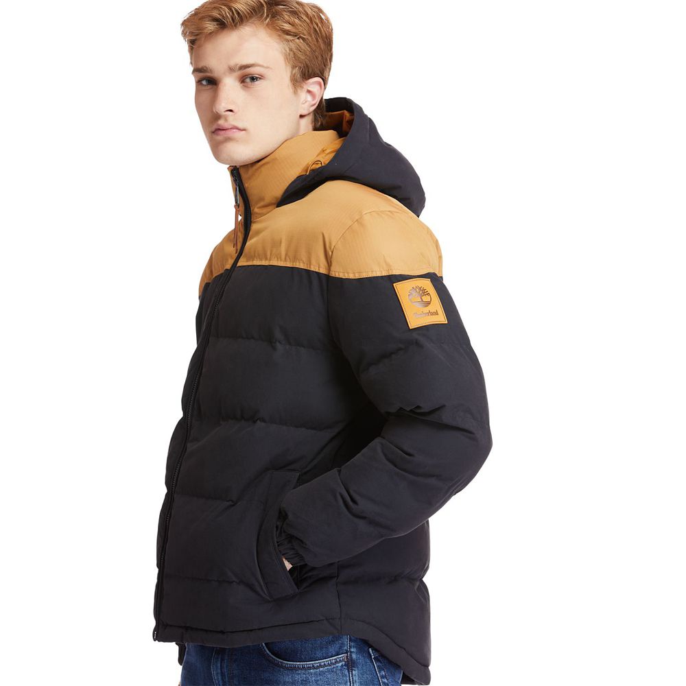 Chaquetas Timberland Hombre Welch Mountain Warm Invierno Marrones/Negras - Chile MPI-372648